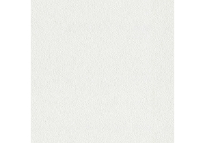 Vải dán tường sợi thuỷ tinh Classic9-2064